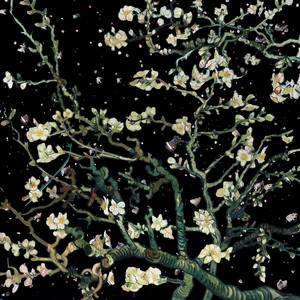 中国男同志视频网站
